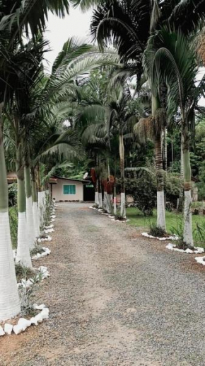 Palmenhaus